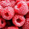   raspberry